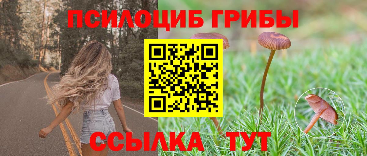 Галлюциногенные грибы Cubensis Краснознаменск